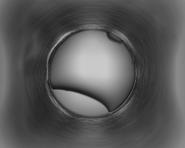 X0000086960844200704161122