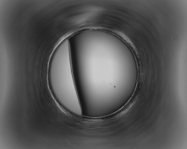 X0000086960845200704161122