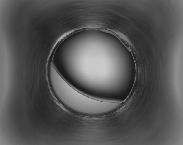 X0000086960846200704161122