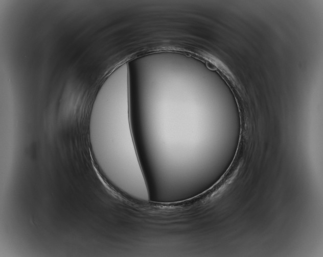 X0000086960849200704161122