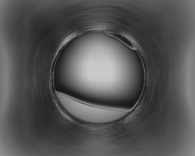 X0000086960850200704161122