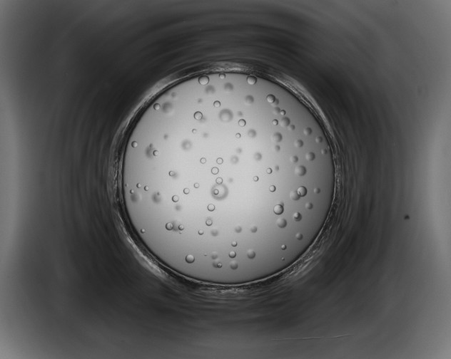 X0000086960851200704161122