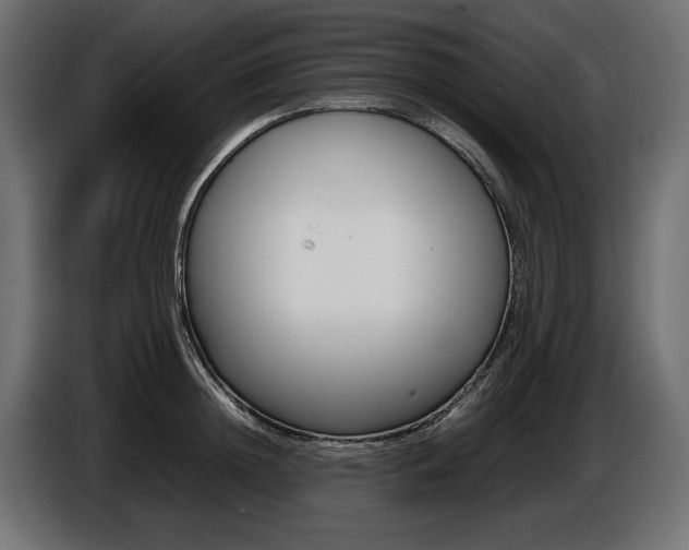 X0000086960852200704161122