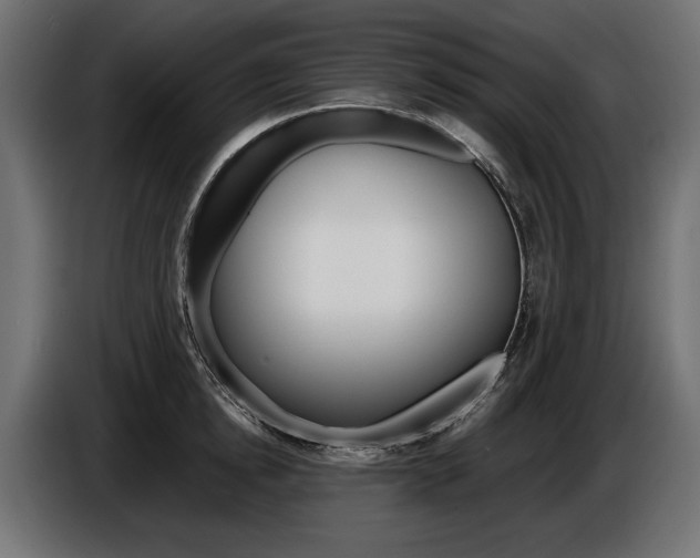 X0000086960854200704161122