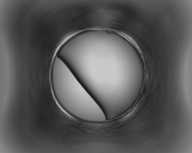 X0000086960855200704161122