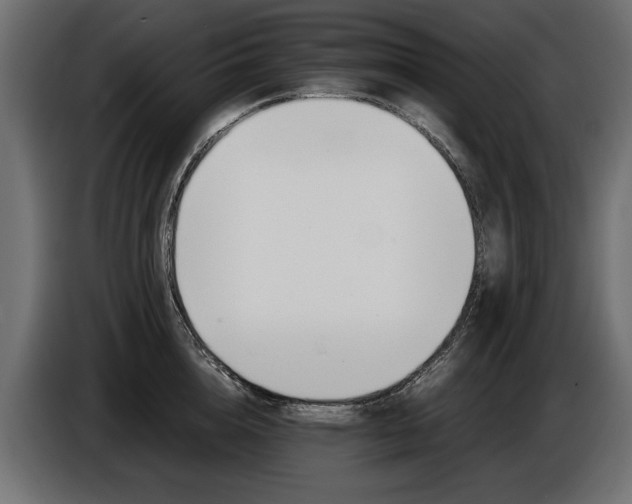 X0000086960856200704161122