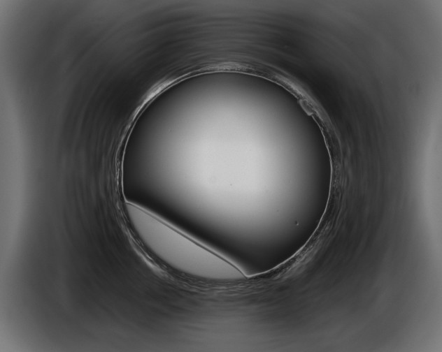 X0000086960858200704161122