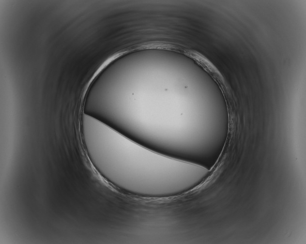 X0000086960860200704161122