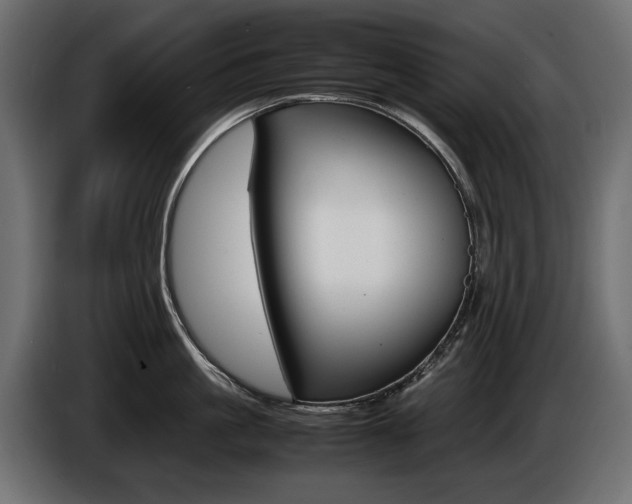 X0000086960861200704161122