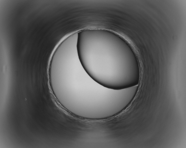 X0000086960864200704161122
