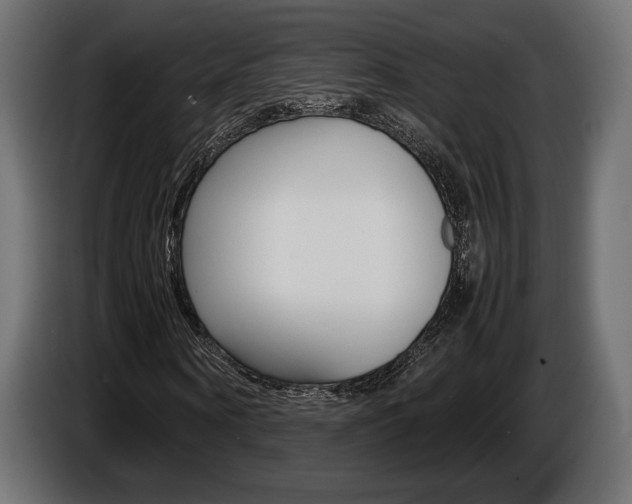 X0000086960866200704161122