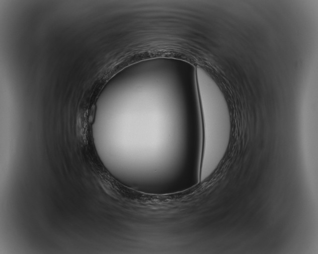 X0000086960868200704161122