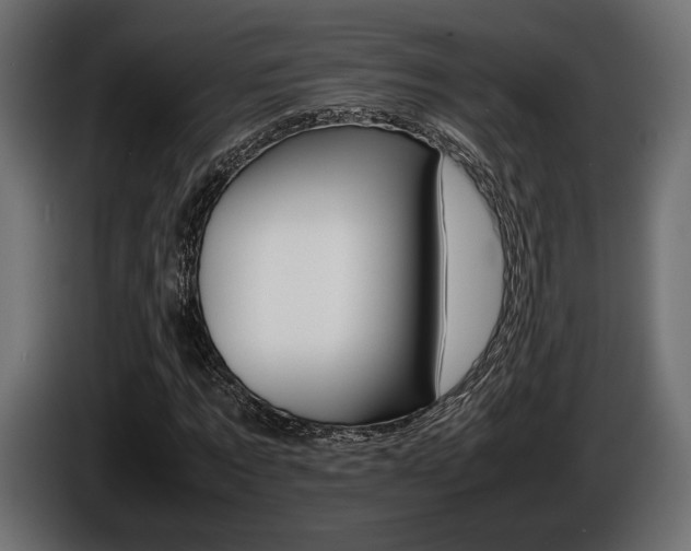X0000086960869200704161121