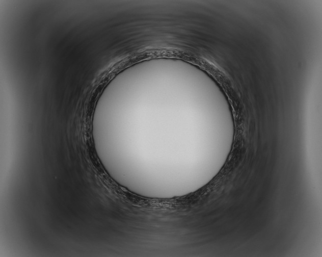 X0000086960870200704161121