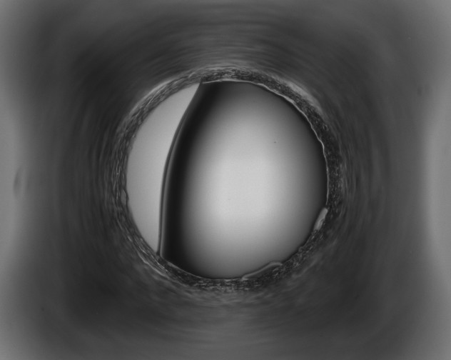 X0000086960872200704161121