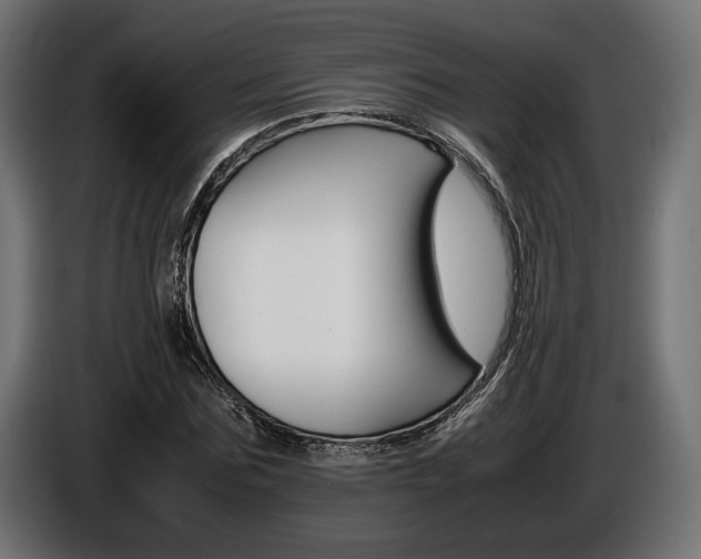 X0000086960875200704161121