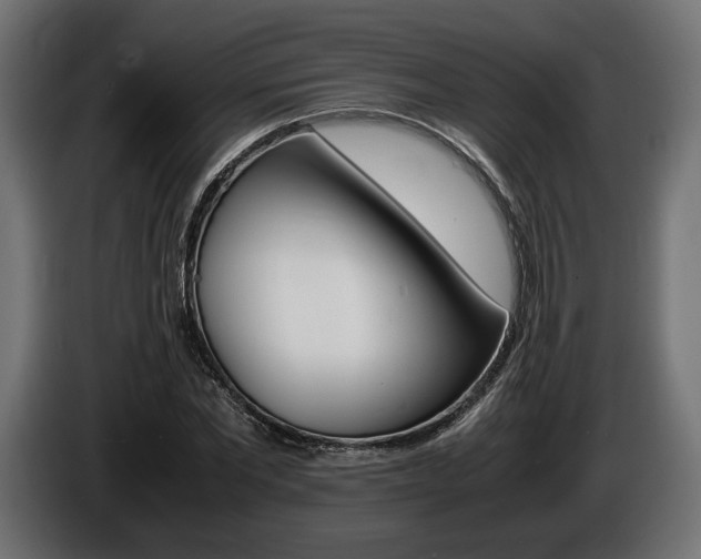 X0000086960877200704161121