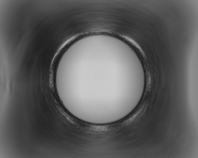 X0000086960878200704161121