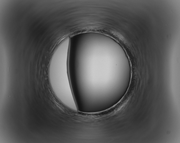X0000086960881200704161121