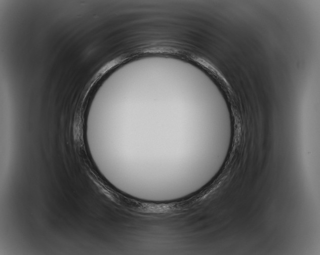 X0000086960882200704161121