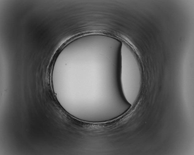 X0000086960883200704161121