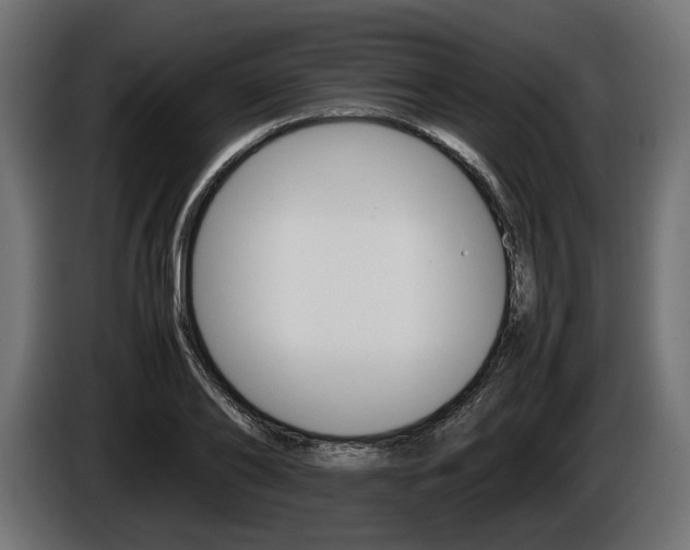 X0000086960886200704161121