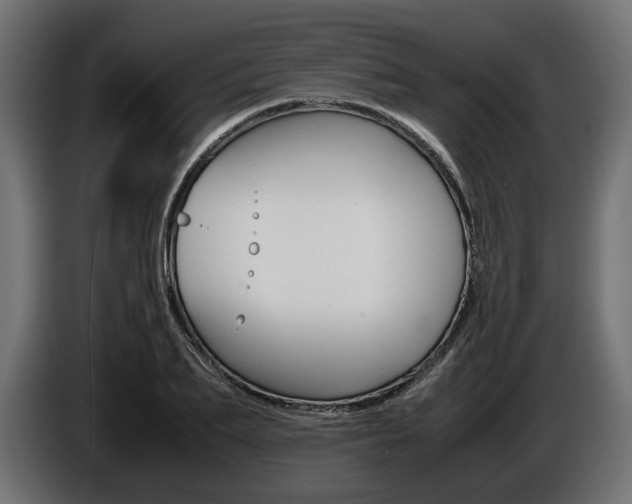 X0000086960887200704161121