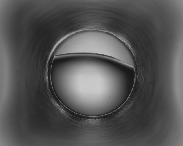 X0000086960888200704161121