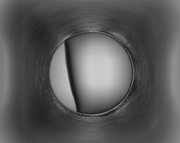 X0000086960889200704161121