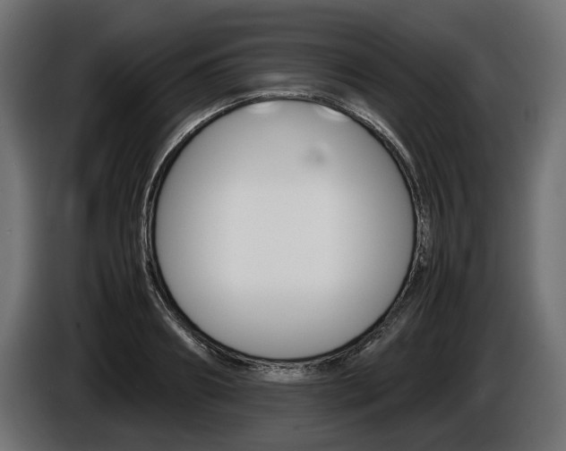 X0000086960890200704161121