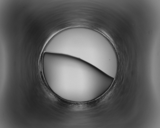 X0000086960891200704161121
