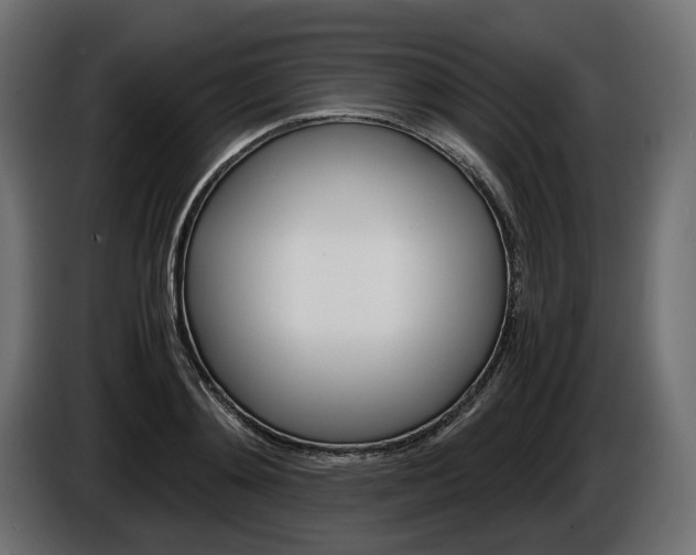 X0000086960892200704161121