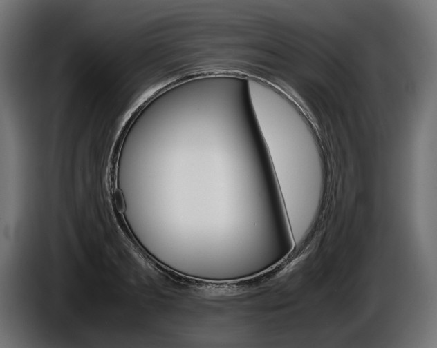 X0000086960893200704161121