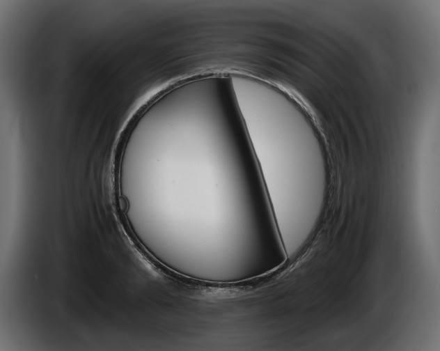 X0000086960894200704161121