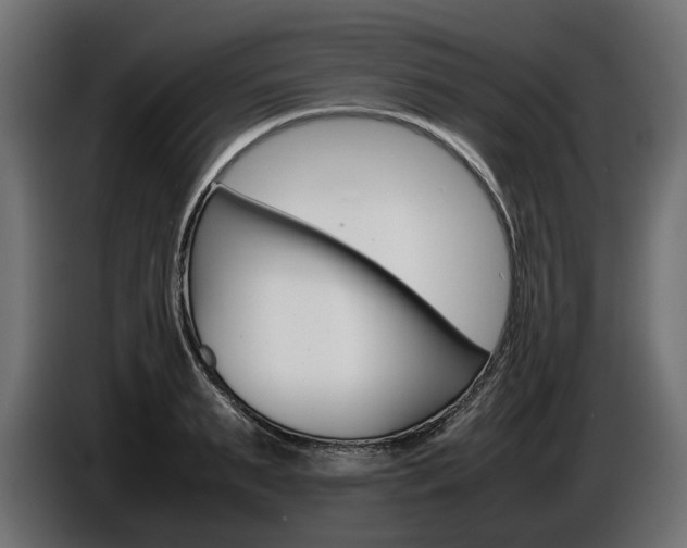 X0000086960895200704161121