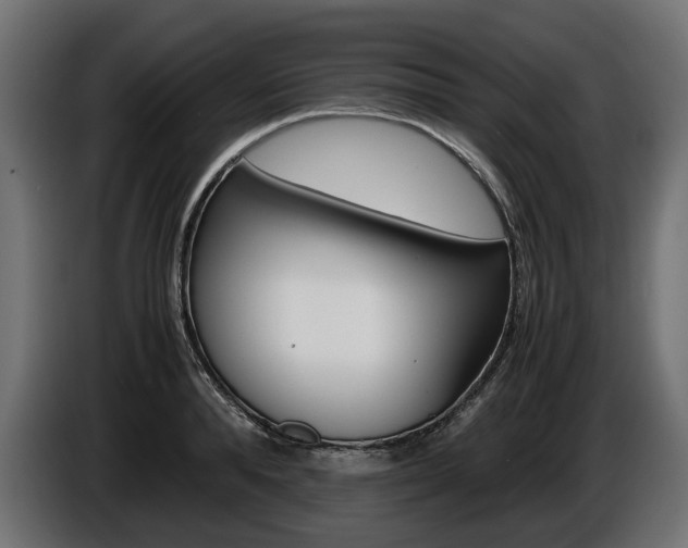 X0000086960896200704161121