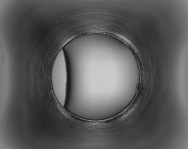 X0000086960897200704161121