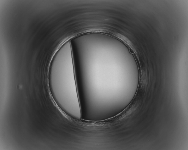X0000086960898200704161121