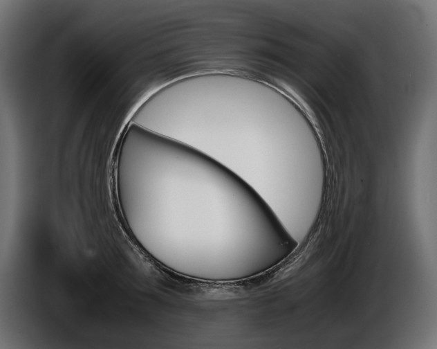 X0000086960899200704161121