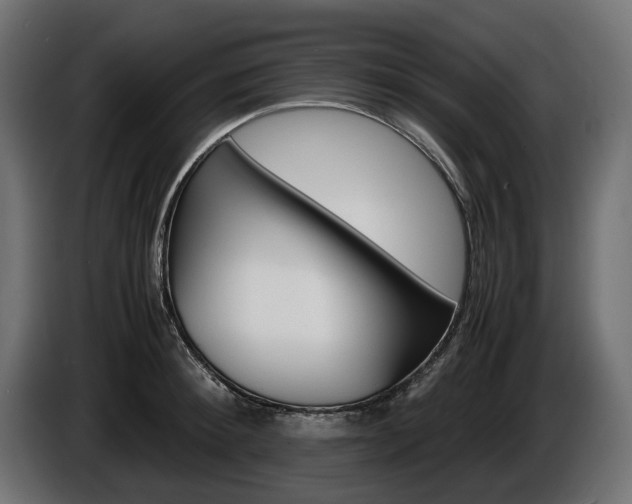 X0000086960900200704161121