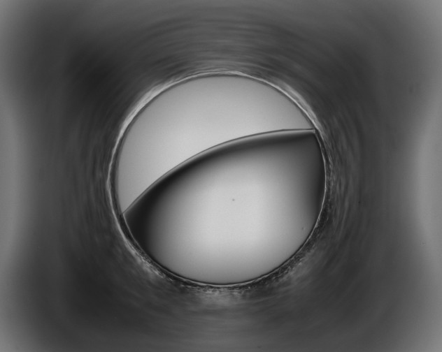 X0000086960901200704161121