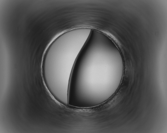 X0000086960902200704161121