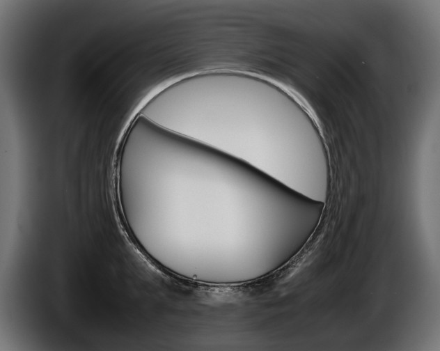X0000086960903200704161121