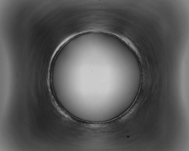 X0000086960904200704161121