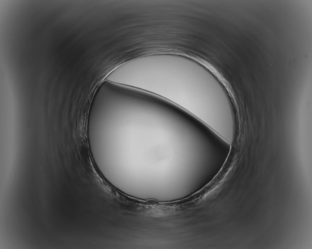 X0000086960905200704161121