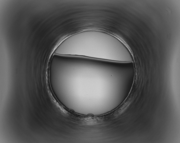 X0000086960906200704161121
