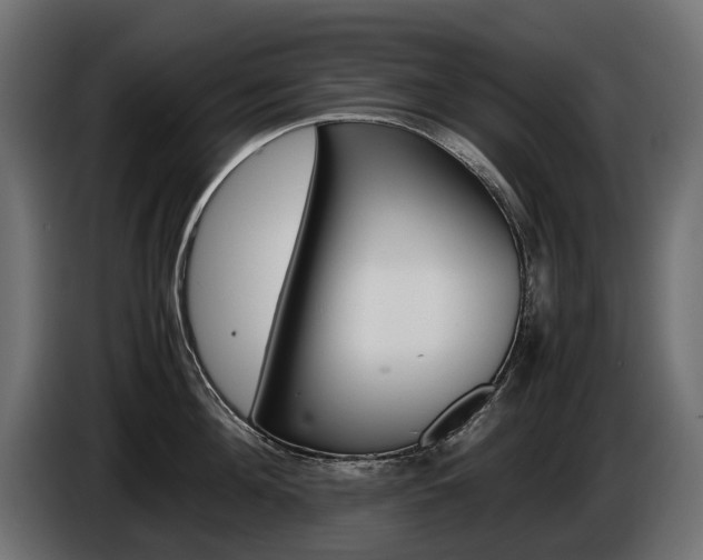 X0000086960908200704161121