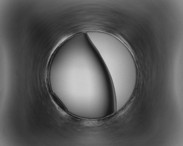 X0000086960909200704161121