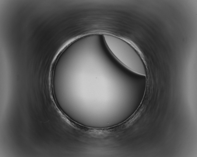 X0000086960910200704161121