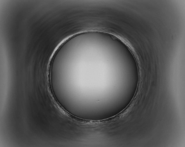 X0000086960912200704161121